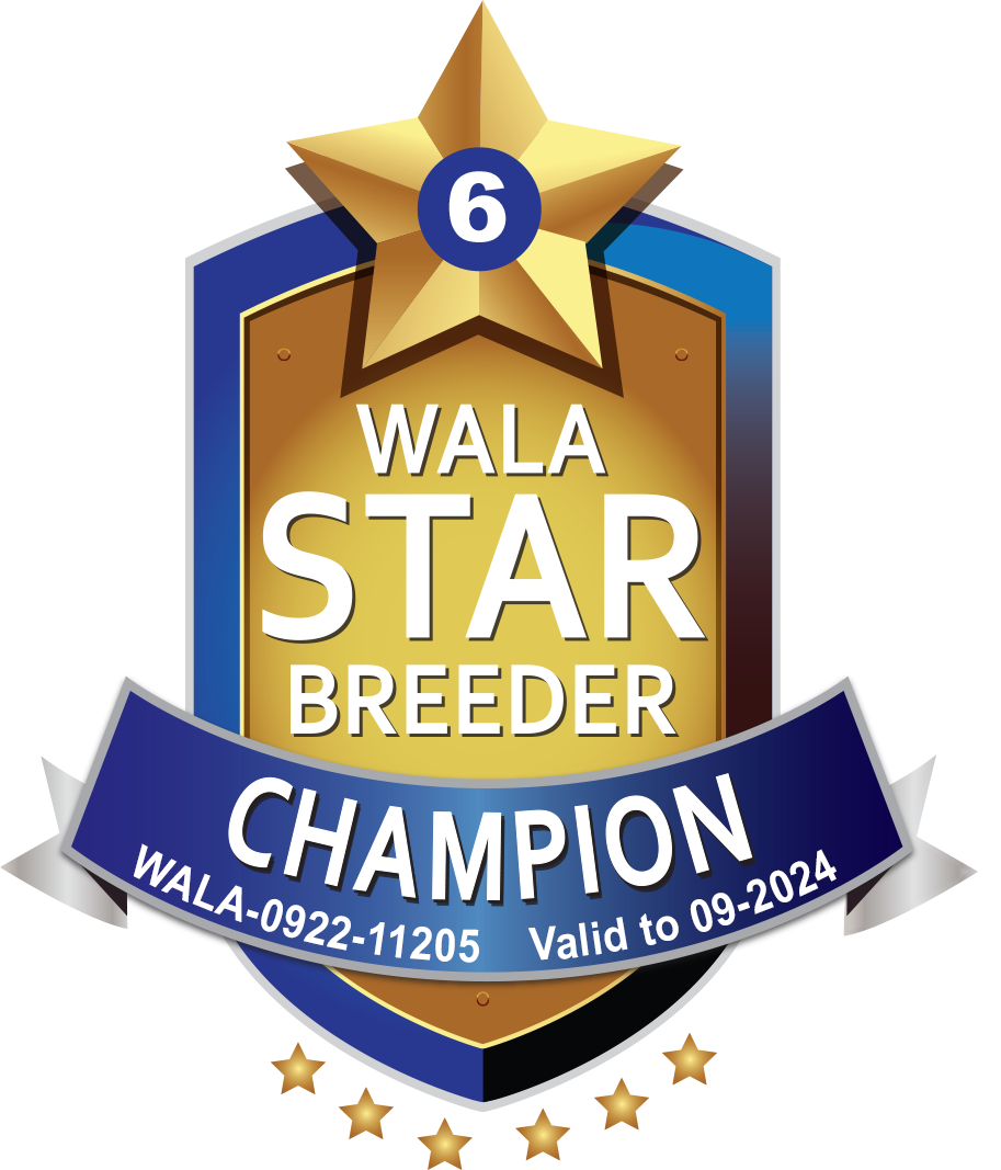 Champion Star Logo -SweetDog - - sweetdogald-sk.com