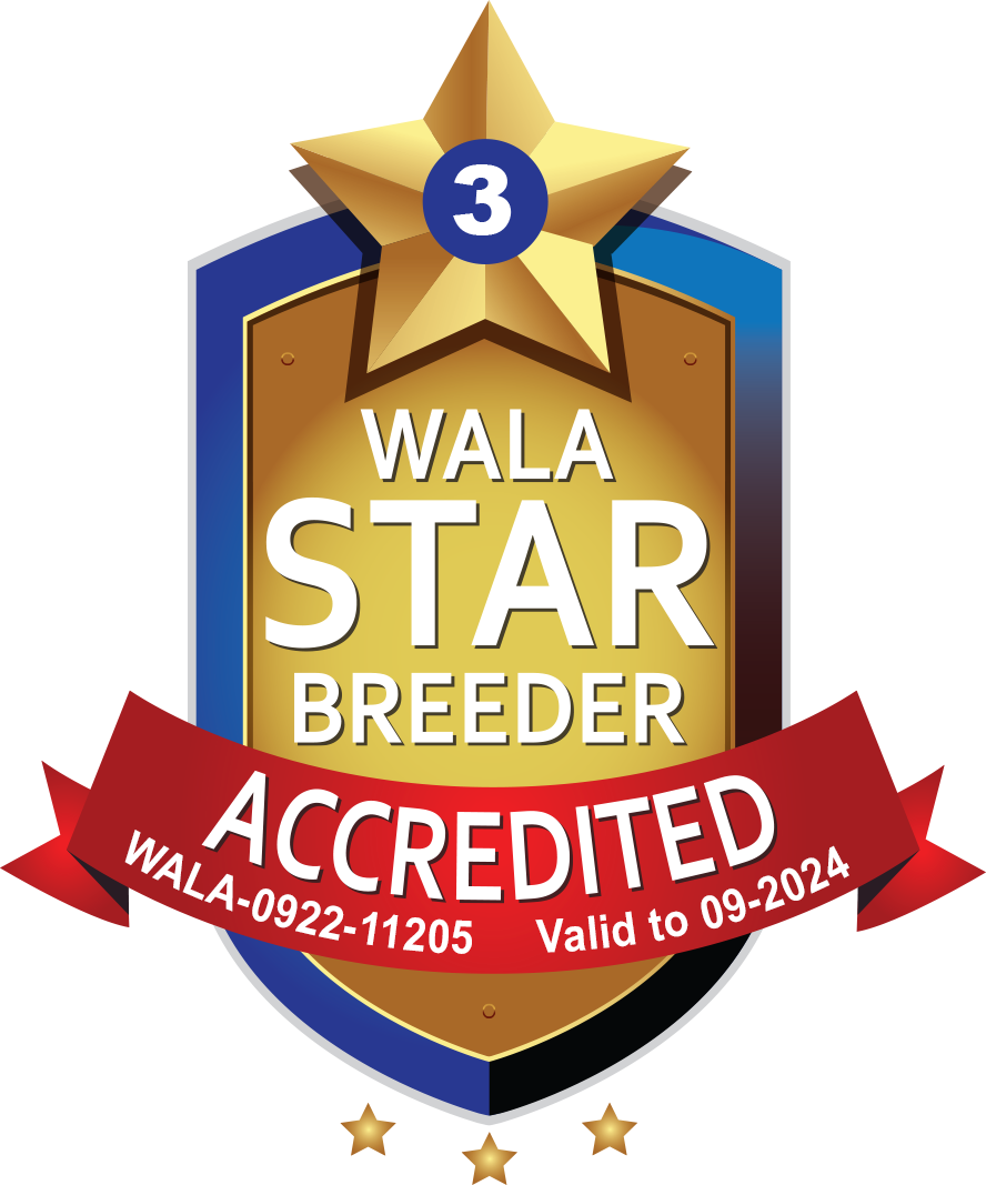 Sweet Dog ALD Accredited Logo 2024 - sweetdogald-sk.com